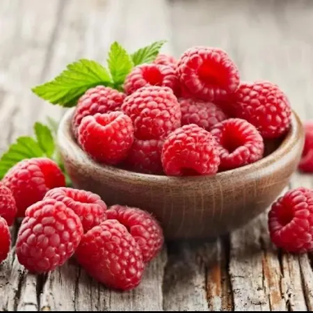 B&B Il Ghiro-country House