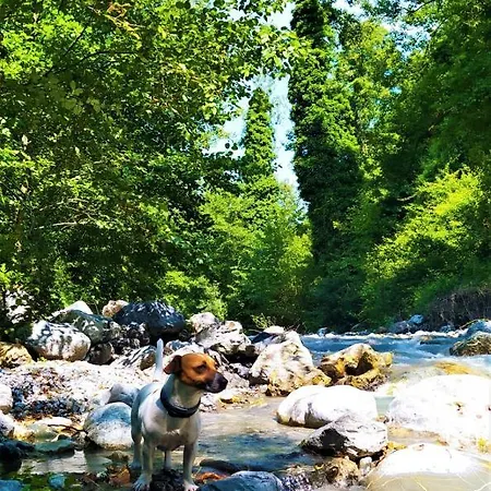 Il Ghiro-country House 4* Mormanno