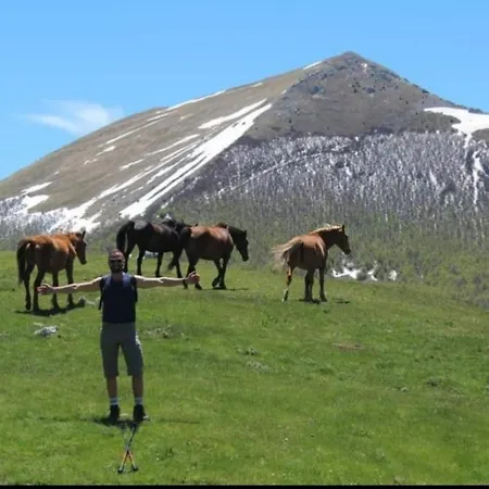 Frühstückspension Il Ghiro-country House Mormanno