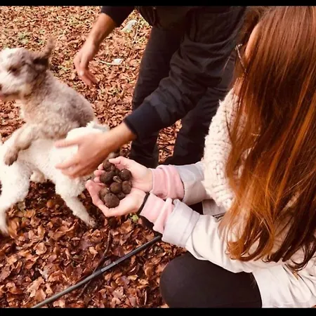 Il Ghiro-country House 4* Mormanno