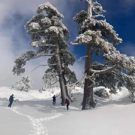 Il Ghiro-country House 4*