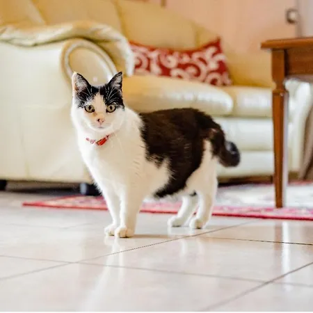 Frühstückspension Il Ghiro-country House