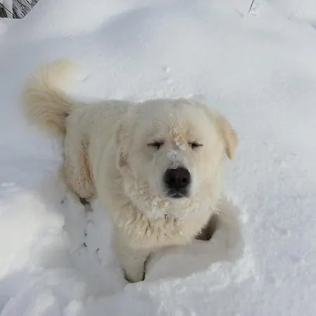 Il Ghiro-country House Mormanno