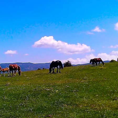 Il Ghiro-country House Морманно