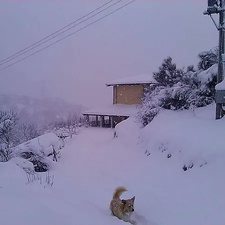 Il Ghiro-country House 모르마노