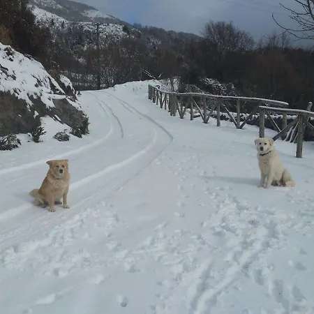 B&B Il Ghiro-country House