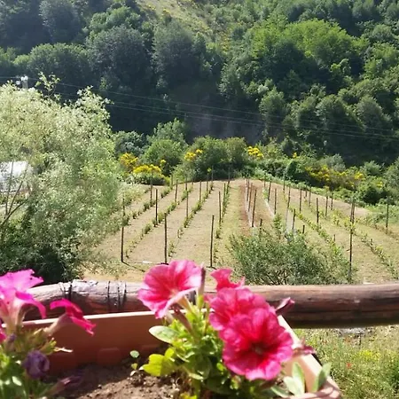 Il Ghiro-country House Frühstückspension 4*