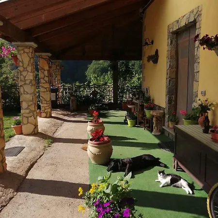 Il Ghiro-country House B&B 모르마노