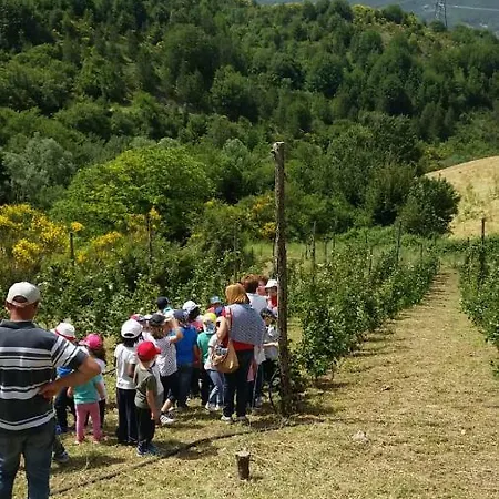 Il Ghiro-country House 4* Mormanno