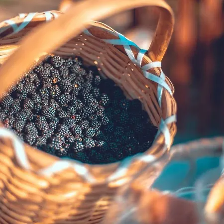 Il Ghiro-country House Frühstückspension 4*