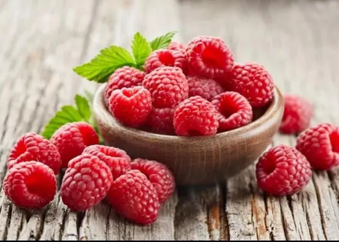 Bed & Breakfast Il Ghiro-country House