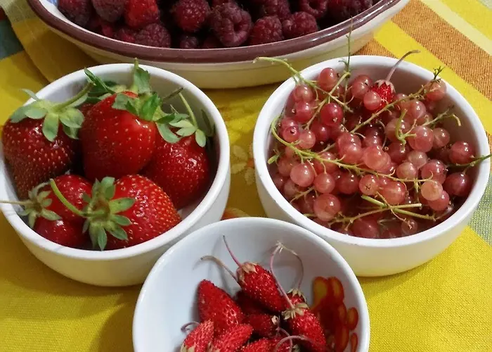 Il Ghiro-country House 4*