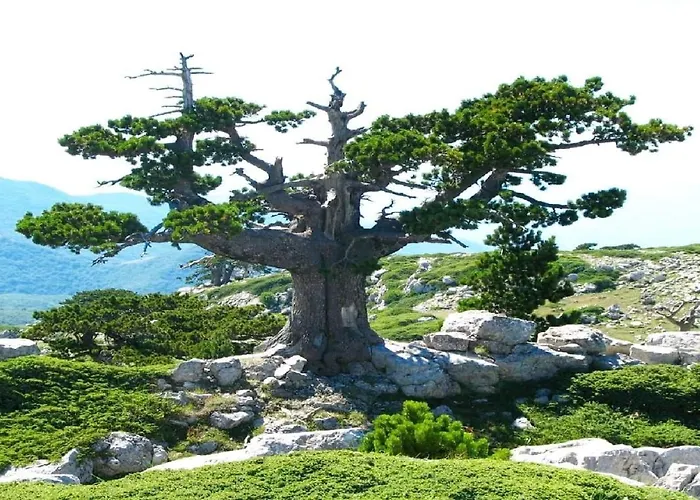 Bed & Breakfast Il Ghiro-country House 4*