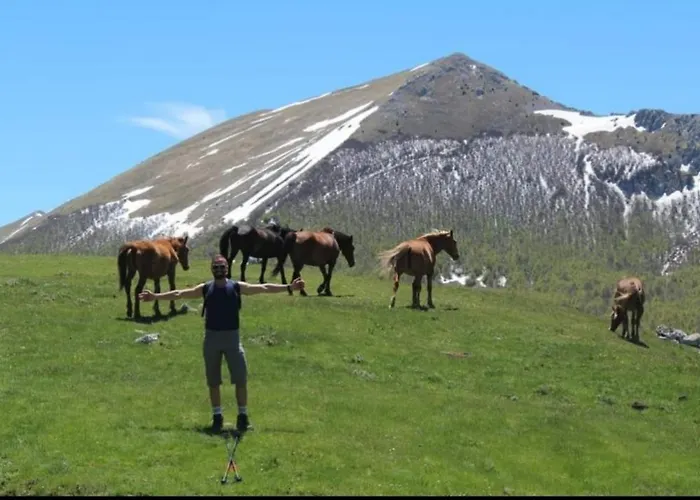 Bed & Breakfast Il Ghiro-country House Mormanno