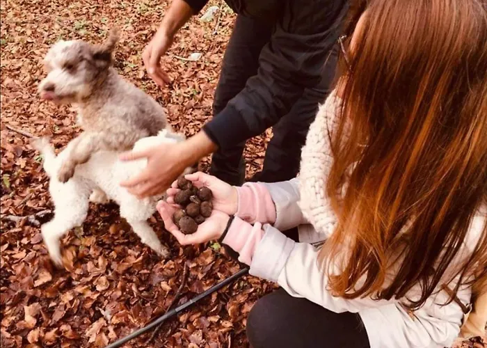 Il Ghiro-country House 4* Mormanno