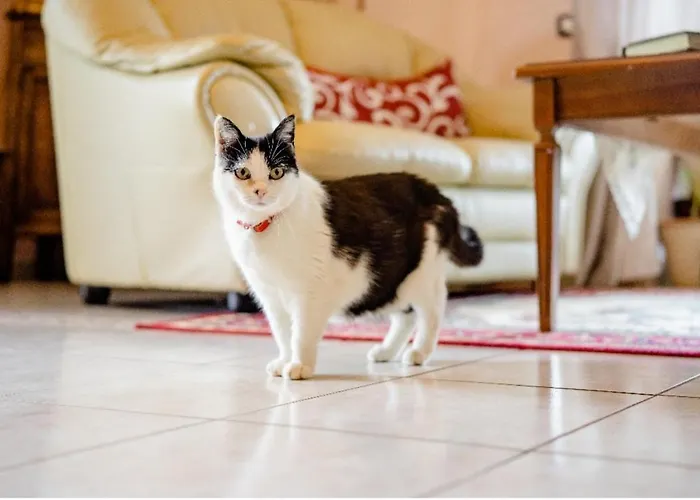 Bed & Breakfast Il Ghiro-country House