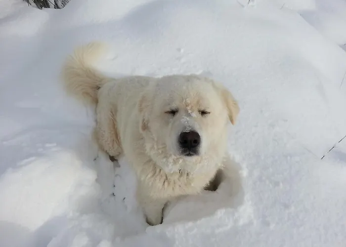 Il Ghiro-country House Mormanno