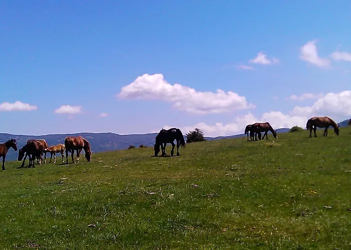 Il Ghiro-country House 4* Mormanno