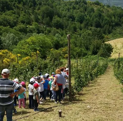 Il Ghiro-country House 4* Mormanno