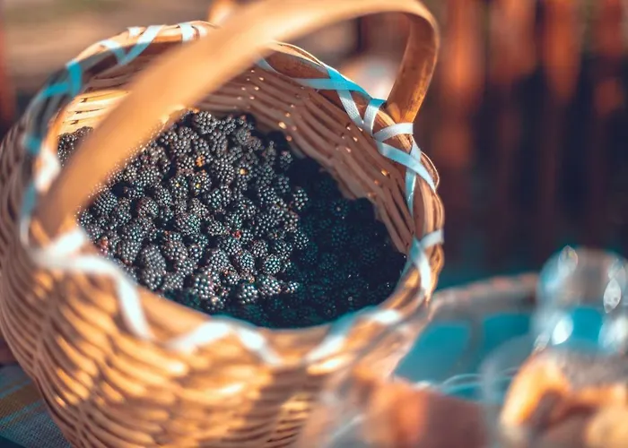 Il Ghiro-country House Bed & Breakfast 4*